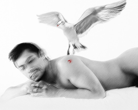 the Gull featuring Eduardo