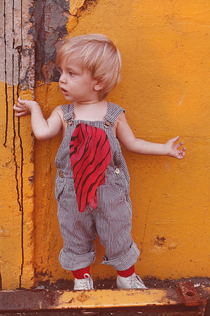 Colored Wall Series Vericolor film