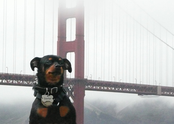 Golden Gate Bridge