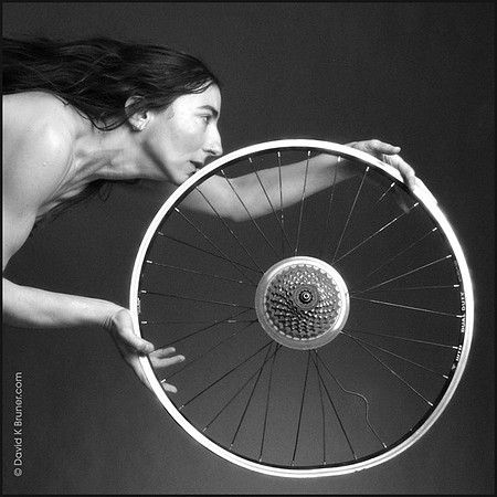 from "Wheel" series
