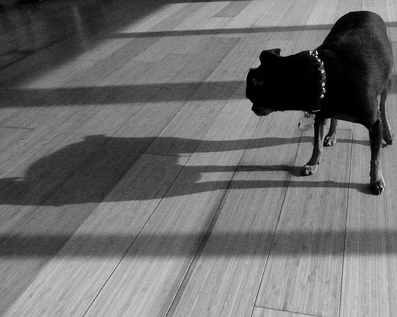 And My Shadow